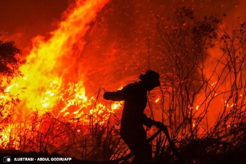 BPBD Sidoarjo Tangani 169 Kasus Kebakaran, Lahan Kosong Jadi Penyumbang Terbanyak