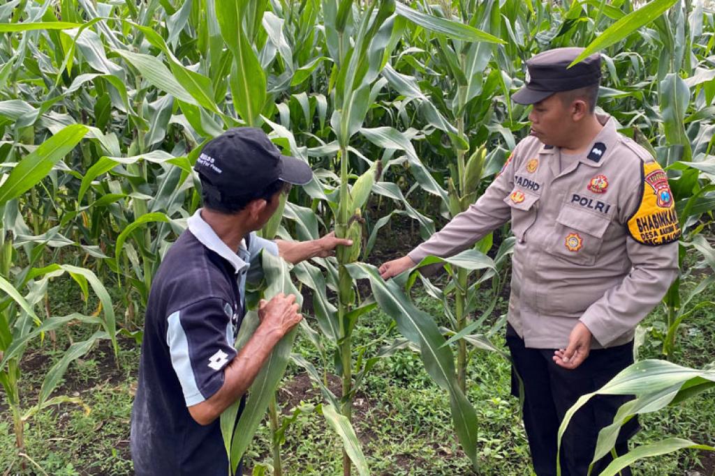 Bhabinkamtibmas Dorong Warga Bakung Temenggungan Manfaatkan Pekarangan untuk Ketahanan Pangan