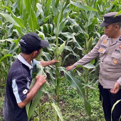 Bhabinkamtibmas Dorong Warga Bakung Temenggungan Manfaatkan Pekarangan untuk Ketahanan Pangan