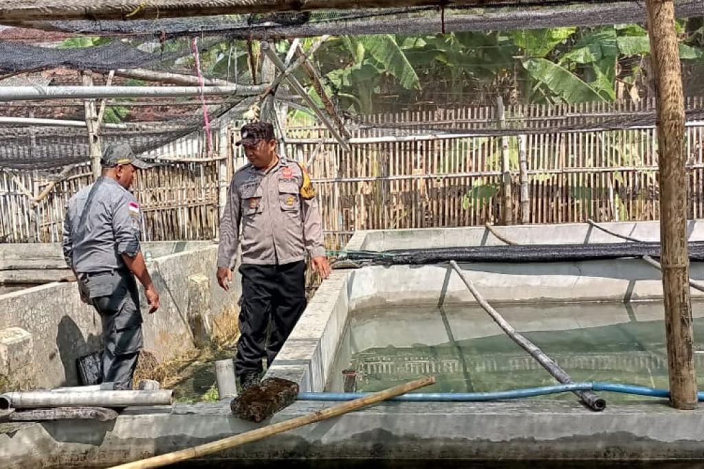 Polsek Tarik Pantau Kolam Lele Warga untuk Dukung Ketahanan Pangan