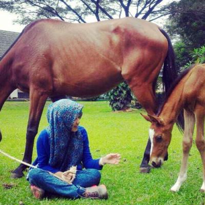 Pretalia Dwi Rachmawati, Dokter Hewan Spesialis Kuda yang Langka di Jawa Timur