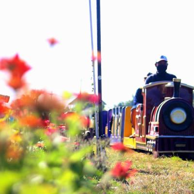 Punden Mbah Retjo: Wisata Murah Keluarga di Tengah Rimbunnya Perkebunan Sidoarjo